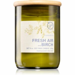 Paddywax Eco Green Fresh Air & Birch illatos gyertya 226 g Paddywax