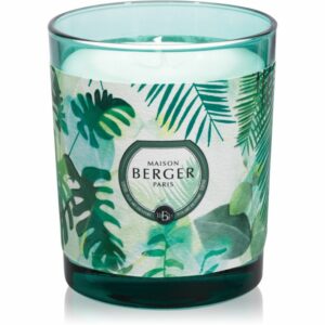 Maison Berger Paris Immersion Fresh Eucalyptus illatos gyertya 240 g Maison Berger Paris