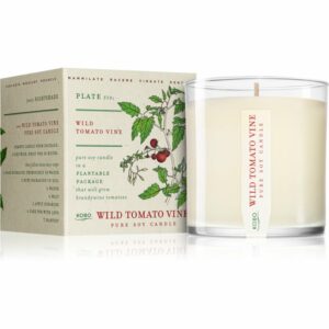 KOBO Plant The Box Wild Tomato Vine illatos gyertya 283 g KOBO